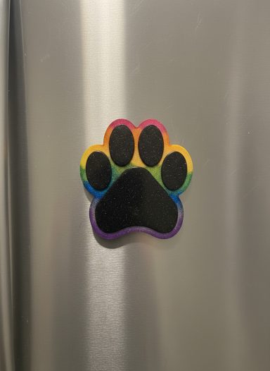 Fridge magnet rainbow paw
